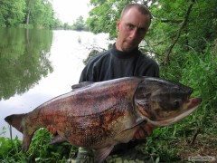 Kliknutím fotografii zvětšíte 20 kg