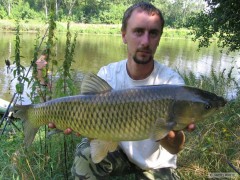 Kliknutím fotografii zvětšíte amur 70 cm