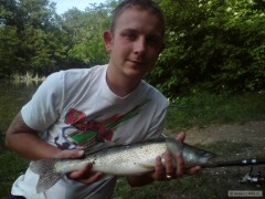 zub��2