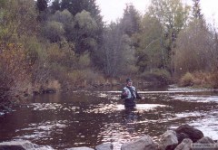 Kliknutím fotografii zvětšíte Vltava v kempu pod Soumarským mostem