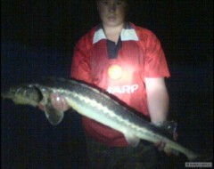 Kliknutím fotografii zvětšíte Jeseter 128cm noc v Černé Hoře