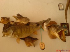 Kliknutím fotografii zvětšíte můj kus zíďky