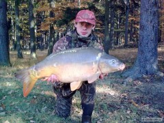 Kliknutím fotografii zvětšíte kapr 10kg