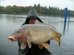 Kliknutím fotografii zvětšíte sezona 2008-9