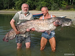 Kliknutím fotografii zvětšíte sumík 202 cm šel zpět