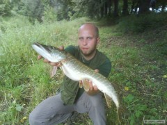 Kliknutím fotografii zvětšíte štika75cm od čističky