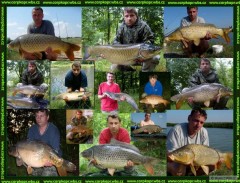 Kliknutím fotografii zvětšíte www.carpkapr.wbs.cz
