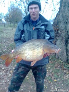 kapr 80cm  12,5kg