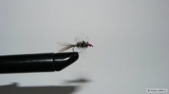 lipanovka