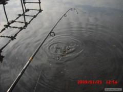Kliknutím fotografii zvětšíte 42cm tlouštˇ na prutě...