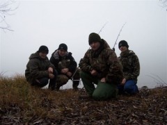 Proficarp team
