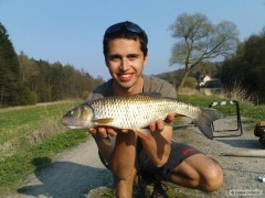Kliknutím fotografii zvětšíte Kuba s jelcem 40cm