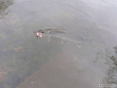 Kliknutím fotografii zvětšíte