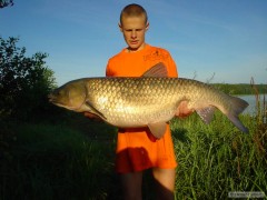 Kliknutím fotografii zvětšíte amur 17kg