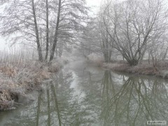 Kliknutím fotografii zvětšíte Kyjovka 3 - splav