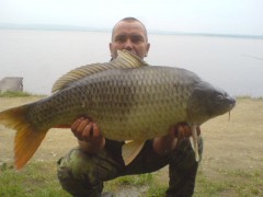 Kliknutím fotografii zvětšíte kapr 94cm,16,5kg,