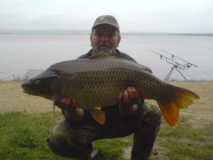 Kliknutím fotografii zvětšíte kapr 89cm,12kg