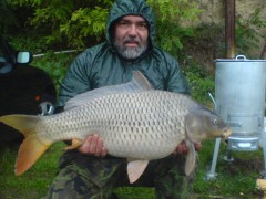Kliknutím fotografii zvětšíte kapr 85cm,10,5kg