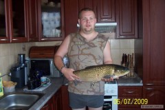 Amur 69cm