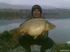 Kliknutím fotografii zvětšíte 2009 K.šup. 80/9,5