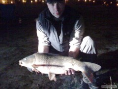 Kliknutím fotografii zvětšíte 7 Kg