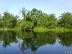 krasa