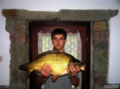 Kapr obecn� - 66 cm, 7,5 kg
