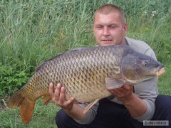 Kliknutím fotografii zvětšíte 87CM