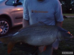 Kliknutím fotografii zvětšíte 85cm