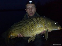 kapr 11kg 82cm