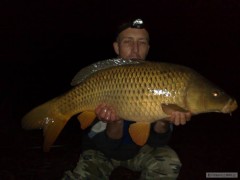 kapr 9,5 kg a 76cm