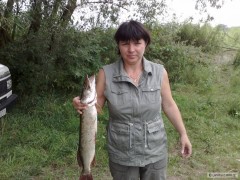 �tika