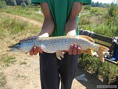 �tuka 75