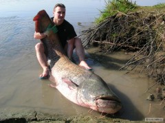 Kliknutím fotografii zvětšíte 226cm 89kg