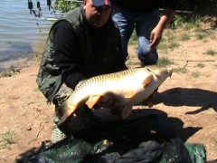 Kliknutím fotografii zvětšíte Kapr 93 cm 17 kg