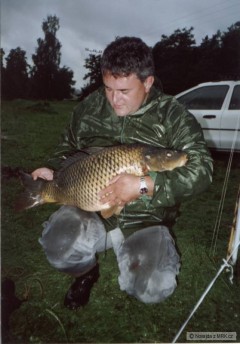 Kliknutím fotografii zvětšíte Kapr 80 cm Štilec
