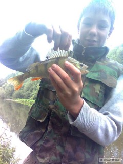 Okoun ���n�