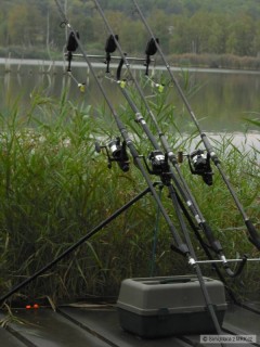 Kliknutím fotografii zvětšíte klacky