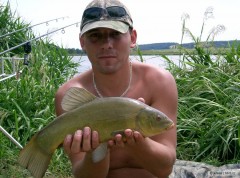 lie� na feeder