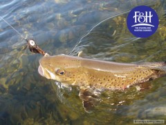 Fishing & Hunting