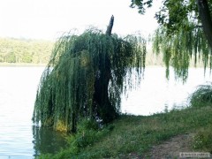 Kliknutím fotografii zvětšíte