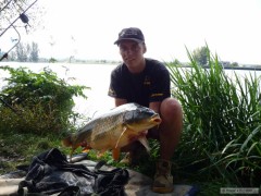 Labe