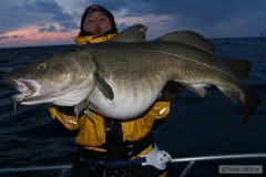 Treska obecn� 28kg