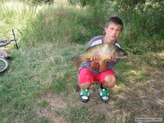 Kliknutím fotografii zvětšíte Boilies kapr