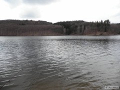 Kliknutím fotografii zvětšíte Dalas