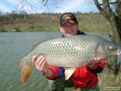 Kliknutím fotografii zvětšíte kapr 86cm 12.10kg jestrabice