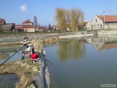 trening na delinu