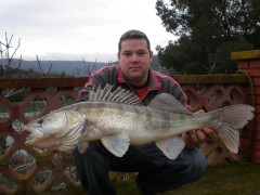Kliknutím fotografii zvětšíte Candát - Ebro 2010