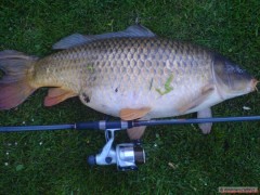 Kliknutím fotografii zvětšíte K-83