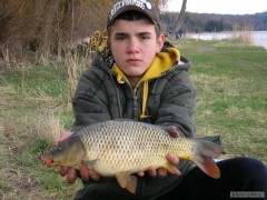 Kliknutím fotografii zvětšíte kapr 55 cm